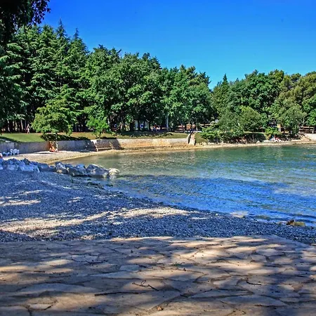 Exclusive Magnolia شقة *