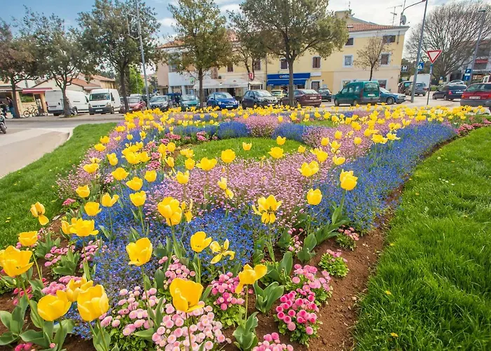 Exclusive Magnolia *