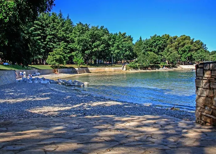 Exclusive Magnolia Apartmán *